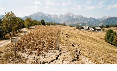 Simbolična fotografija: polje, prizadeto do suše